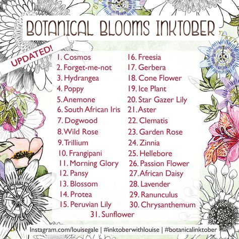 This prompt list is to inspire you to explore flowers and to dive into a regular drawing practice, so you can dip in and out, choose different flower variations. There are no rules! I hope you enjoy. African Iris, Inktober 2023, Daily Prompts, There Are No Rules, Peruvian Lilies, Prompt List, Stargazer Lily, Happy October, No Rules