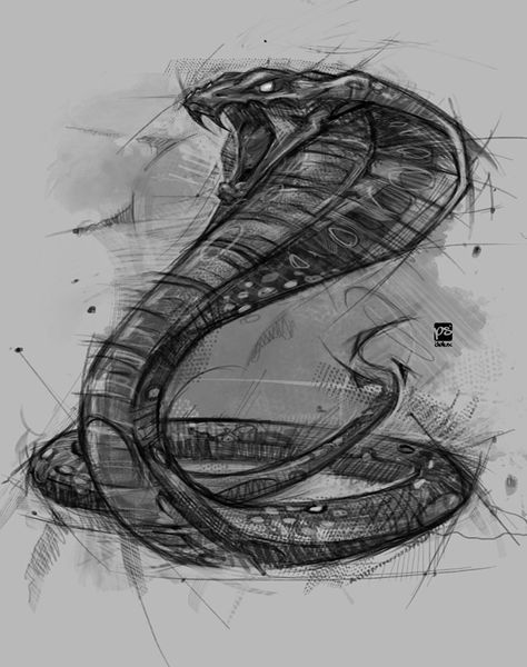 Snake Sketch, Magic Screen, Cobra Art, Snake Drawing, Timelapse Video, Fall Arts And Crafts, Animal Drawings Sketches, Snake Art, Minimalist Tattoos