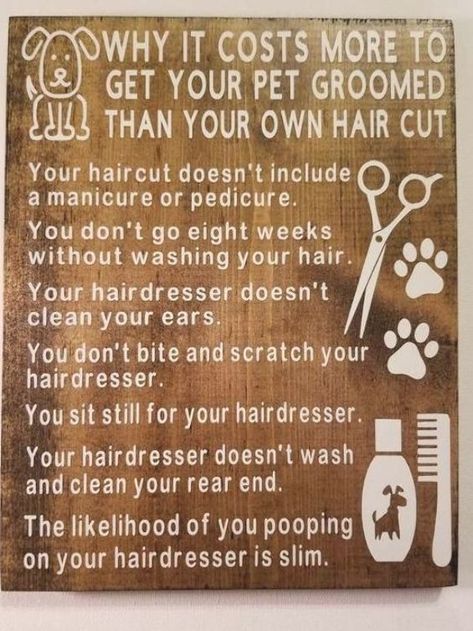 Dog Grooming Business Plan, Dog Grooming Rooms At Home, Small Dog Grooming Salon Ideas, Dog Groomer Humor, Groomer Humor, Grooming Salons, Dog Grooming Diy, Dog Friendly Backyard, Pet Grooming Business