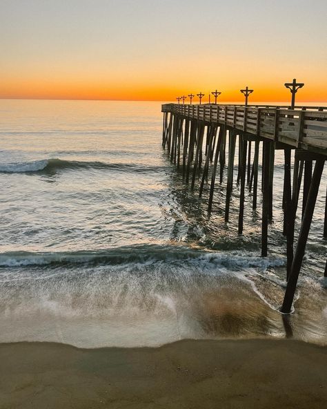 Kitty hawk adventures pt.2〰️ #coastalhomestyle #coastallivingstyle #coastaldesigner Call Down The Hawk, Kitty Hawk Outer Banks, Hawk Hill San Francisco, Hawks Cay Resort, Cooper's Hawk, Kitty Hawk, Outer Banks, Kitty, House Styles