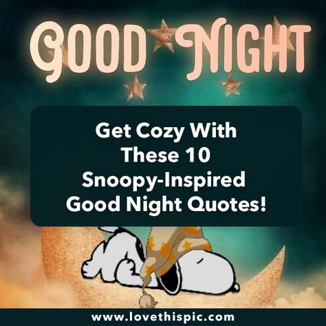 Cartoon Good Night, Snoopy Goodnight Quotes, Cold Good Night Quotes, Good Night Snoopy Images, Good Night Snoopy Quotes, Good Night Quotes Funny, Goodnight Cartoon, Snoopy Good Night Gif, Night Night Quotes