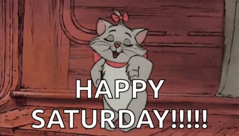 Cute Cat GIF - Cute Cat Kitten - Discover & Share GIFs Happy Saturday Gifs, Happy Saturday Gif, Saturday Gif, Weekend Gif, Saturday Morning Coffee, Good Morning Happy Saturday, Evening Greetings, Happy Gif, Dancing Gif