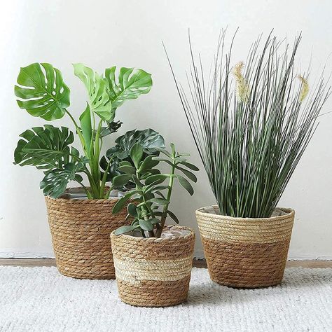 Halaood Seagrass Basket, Wove Baskets for Planter Pots & Flower Pots, Round Storage Basket for Toy/Cloth, Indoor, Small/Medium/Large 3 Pack : Amazon.co.uk: Home & Kitchen Indoor Green Plants, Plant Pot Indoor, Easy Indoor Plants, Sustainable Flowers, Storage Baskets With Lids, Wicker Planter, Plant Pot Covers, Planter Basket, Flower Pots Outdoor