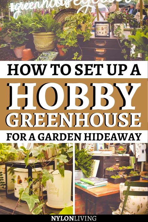 Small Hobby Greenhouse, Green House Ideas Backyards, Home Made Green House Ideas, Greenhouse In Michigan, Outsunny Greenhouse Ideas, Inside Small Greenhouse Ideas, Setting Up A Greenhouse, What To Put In A Greenhouse, Greenhouse Organizing Ideas