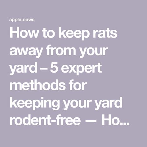 How to keep rats away from your yard – 5 expert methods for keeping your yard rodent-free — Homes & Gardens Tree Rat, Rodent Control, Patio Area, Rodents, Rats, Planting Flowers, Home And Garden, Yard