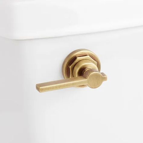 Toilet Flush Handle, Flush Handle, Toilet Handle, Toilet Flush, Mounted Toilet, Console Sink, Brass Bathroom, Widespread Bathroom Faucet, Toilet Tank