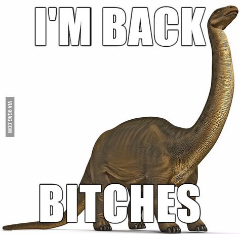 http://9gag.com/gag/aZxE76V?ref=mobile Im Back Meme, Funny Emoticons, Text Memes, Weird Quotes Funny, Mood Humor, Im Back, I'm Back, Meme Pictures, Literally Me