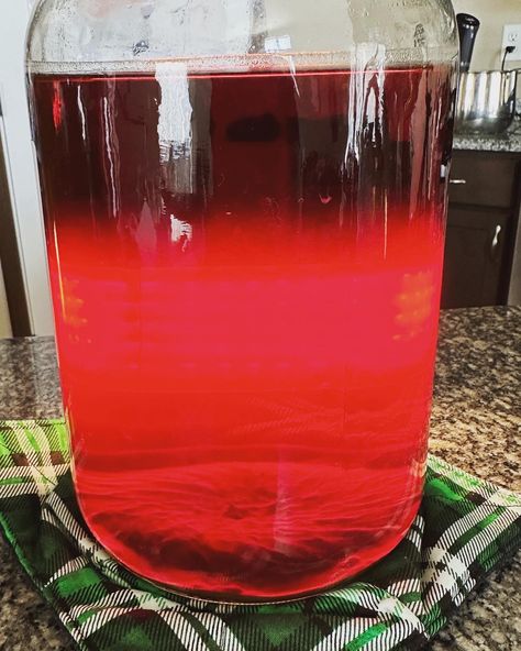 A refreshing Strawberry Melomel (mead) recipe. Can be made now and ready for Spring. Strawberry Mead Recipe, Melomel Recipe, Mead Recipe 1 Gallon, Mead Drinks, Mead Recipes, Mead Making, Mead Wine, Diy Alcohol, How To Make Mead