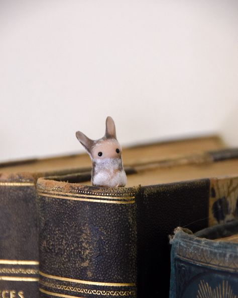 “Dust bunnies are generally considered harmless guests.” “They keep to themselves, preferring not to be noticed by collecting in forgotten corners and shelves.” - The Journals I’m so glad you guys enjoyed this new addition to the creatures in my studio - the dust bunny! ✨ I honestly have loved having their little fluffy selves around. Hope this one brings some joy on this October day! ♥️ . . . . . . #miniature #clayart #miniatures #dustbunny #maximalist #cute #cuteart #kawaii #bunny #bun... Bunny Bun, Dust Bunny, Dust Bunnies, Kawaii Bunny, Stuffed Dolls, Clay Art, Cute Art, Dream Home, Lily