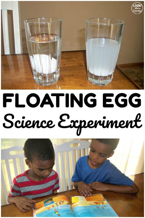 Simple Science Experiments: Easy Floating Egg Experiment for Kids Science Experiments Easy, Egg Science, Egg Experiment, Simple Science Experiments, Floating Eggs, Fun Experiments For Kids, Egg Experiments, Toddler Science Experiments, Experiment For Kids