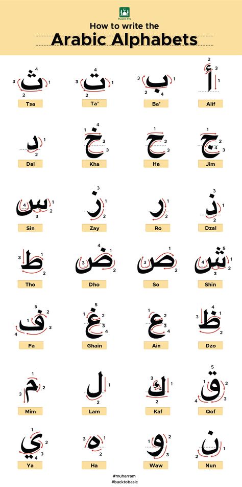 Islam Lesson, Write Arabic, Learn Arabic Online, Learn Arabic Alphabet, Arabic Lessons, Arabic Alphabet For Kids, Learn Arabic Language, Ayat Al-quran, Arabic Alphabet