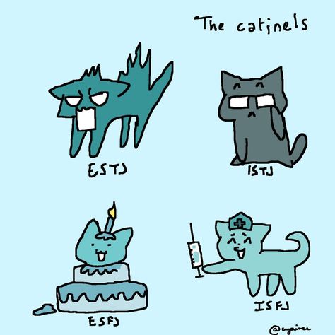 Intp Mbti Cat, Intj Memes Funny, Istp Intj Meme, Mbti Istj, Istj Personality Memes, Mbti Memes Humor, Intp T, Intj T, Enfp T