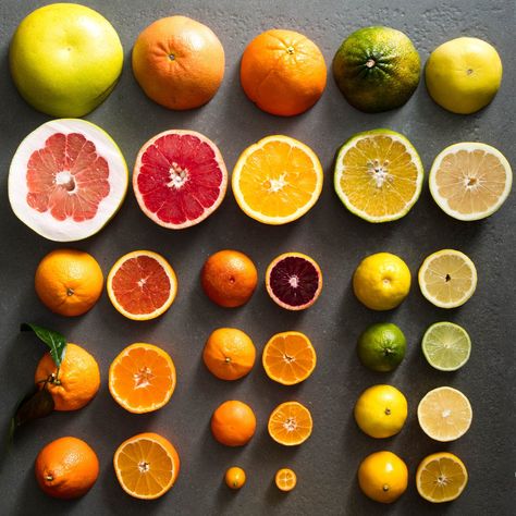 You may have tasted clementines and tangelos, but how about blood limes, Xinhui mandarins, and the mysteriously un-juice-able Yemenite citron? No? Okay, let’s get to know them a little better. Citrus Photoshoot, Citrus Fruit Aesthetic, Citrus Photo, Food Boutique, Citrus Close Up, Color Vocabulary, Citrus Fruits Photography, Vegetable Juice Recipes, Types Of Oranges