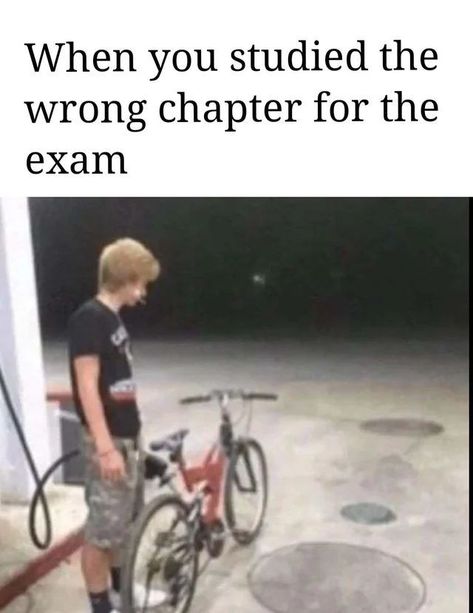 #meme #funny #studentlife Student Memes Funny, Memes Love, Funny Memes Images, Dark Jokes, Funny School Jokes, School Jokes, In Memes, School Memes, Love Memes