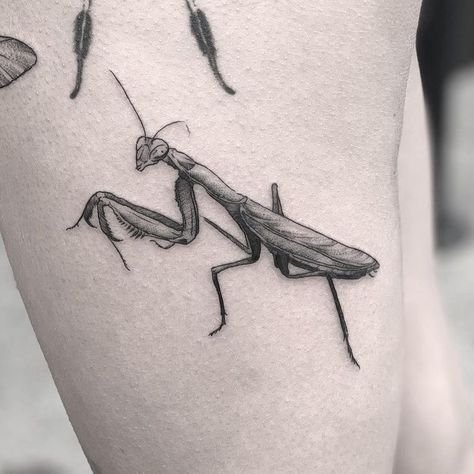 Prey Mantis Tattoo, Praying Mantis Tattoo Simple, Small Insect Tattoo, Cute Bug Tattoo, Mantis Tattoo Design, Insect Tattoo Ideas, Millipede Tattoo, Bug Tattoo Ideas, Praying Mantis Tattoo