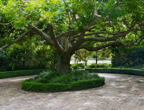 Circle Driveway Landscaping, Circle Driveway, Driveway Entrance Landscaping, Circle Drive, Tree Lined Driveway, Large Driveway, Driveway Entrance, Driveway Design, Driveway Landscaping