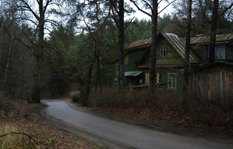 Midwest Gothic, House Forest, Midwest Emo, Small Town Life, Abandoned House, Lots Of Cats, Southern Gothic, Gothic Aesthetic, Forest House