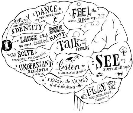 8.) What I like about my dream job is that I can act out what I am feeling in the inside through another character.What I don't like is that I have to come up with ideas for the script and making sense of it in the scene. Brain Infographic, Brain Anatomy, The Human Brain, Brain Chemistry, Counting Calories, Brain Science, School Psychology, Best Way To Study, Human Brain