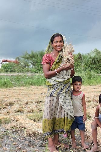 A woman from West Bengal in India harvesting her crops. In India, 74.5 percent of rural women are agricultural workers but only 9.3 percent own the land.  (Photo: UN Women/Ashutosh Negi) Indian Farming, Bengali Woman, Indian Agriculture, Un Women, Rural Photography, Mother Baby Photography, Rural Women, Female Farmer, Celebrating Women