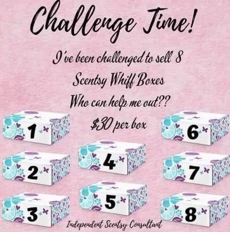 Scentsy Whiff Box Challenge, Scentsy Challenge Ideas, Scentsy Challenge Ideas 2023, Whiff Box Challenge, Scentsy Challenge, 2023 Scentsy, Scentsy Whiff Box, Scentsy Laundry, Scentsy Pictures