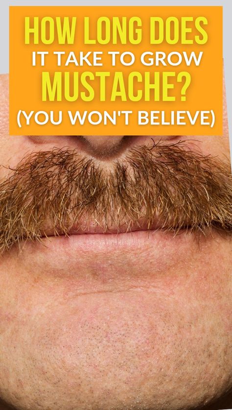 Grow mustache Mustache Growth Tips, Men’s Mustache Styles, How To Grow Moustache, How To Grow Mustache, Long Hair Mustache, Trim Mustache, Handlebar Mustache Style, French Mustache, Thick Mustaches