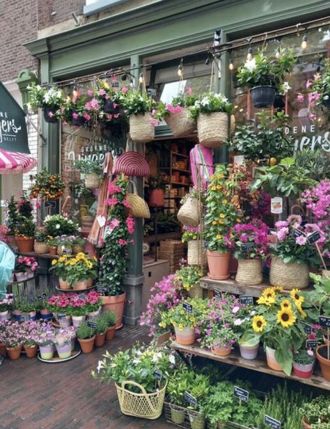 Florist Shop Ideas, Plant Shop, Florist Shop, Floral Shop, Shop Ideas, Florist, Collage, Flowers, Floral