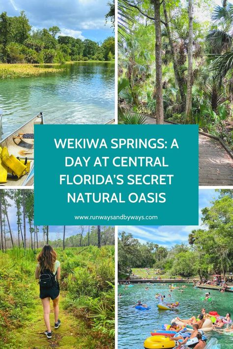 35 minutes from Las Palmeras Wekiwa Springs State Park, Freshwater Pool, Orlando Florida Vacation, Summer To Do List, Alternative Disney, Florida State Parks, Orlando Parks, Jun 2023, Hiking With Kids