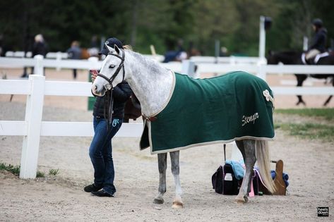 Pony Finals, Jumping Horses, Hunter Horse, Kentucky Horse Park, Show Jumping Horses, Show Horse, Dream Barn, Hunter Jumper, Horse Show