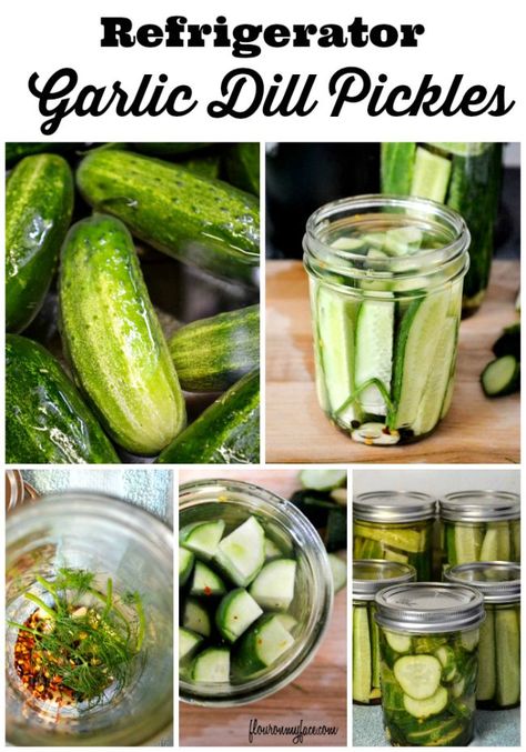 Refrigerator Pickles are so easy to make. Here is a recipe for Refrigerator Garlic Dill Pickles that is sure to become a family favorite pickle recipe. Quick Pickle Recipe, Garlic Dill Pickles, Kosher Dill Pickles, Pickle Recipes Homemade, Pickle Recipes, How To Make Pickles, Pickles Recipe, Canning Pickles, Refrigerator Pickles