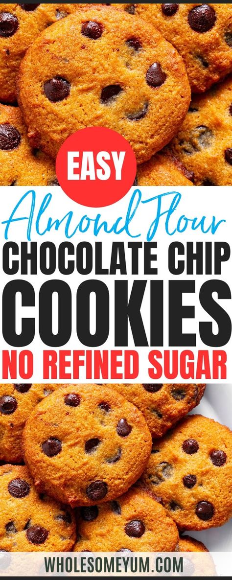 Healthy Cookie Recipe, Almond Flour Chocolate Chip, Sugar Free Chocolate Chip Cookies, Almond Flour Chocolate Chip Cookies, No Carb Food List, Keto Fruit, Healthy Cookie, Almond Flour Cookies, Holiday Appetizers Recipes