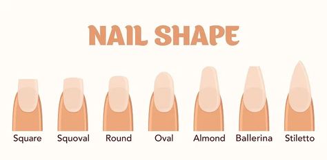 Round Square Nails, Nail Shape Chart, Nail Shapes Square, Nails 2017, Ten Nails, Natural Nail Art, Different Nail Shapes, Almond Nail, Round Nails