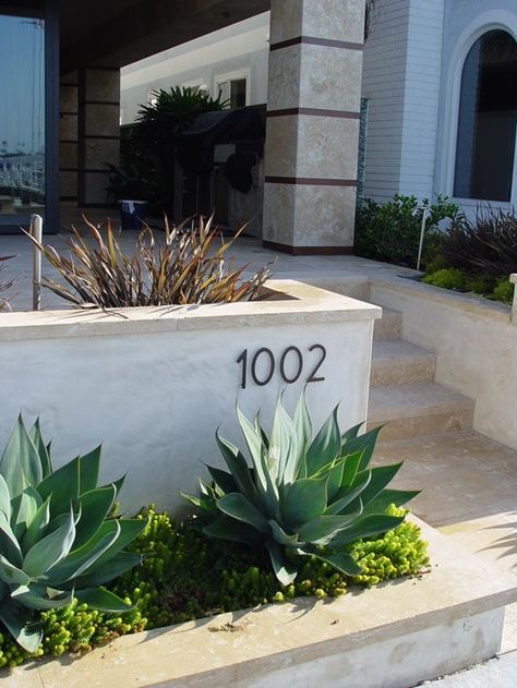 plaster-retaining-wall under juniper tree Simple Pool, Concrete Retaining Walls, Landscaping Retaining Walls, Stucco Walls, Front Yard Fence, Front Landscaping, Modern Fence, Retaining Walls, Up House