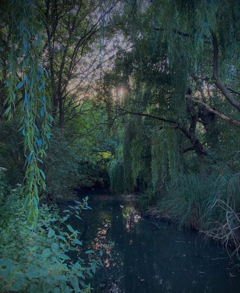 Hidden Lake In Forest, Hidden Nature Places, Hidden Lake Aesthetic, Hidden Forest Aesthetic, Hidden Garden Secret Places, Secret Hideout Aesthetic, Town Scape, Lake Core, Hidden Passageways