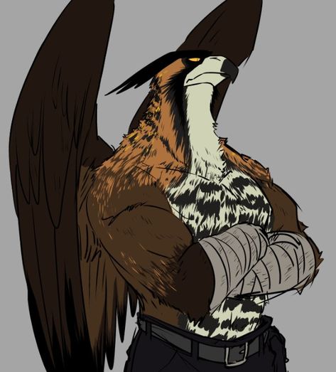 Aarakocra Fighter, Monk Barbarian, Dungeons And Dragons Books, Pathfinder Character, Dnd Races, Dungeons And Dragons Classes, New Fantasy, Fantasy Races, Dungeons And Dragons Characters