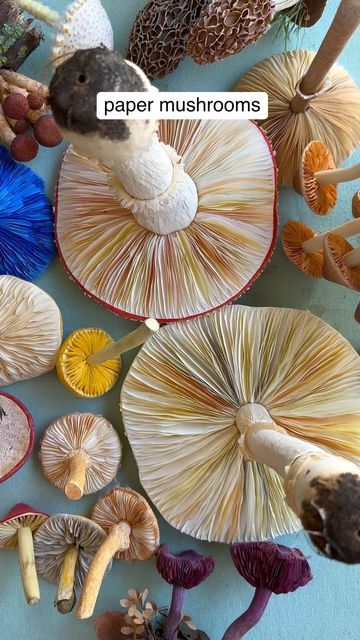 Ann Wood @Woodlucker/paper art on Instagram: "Highlighting the handmade gills on my PAPER mushrooms. I think it’s the part of a mushroom that most reminds me of a flower. I love making these and noticing all the different variations there are in real mushrooms. #woodlucker #annwood #paperartist #paperart #papermushroom #reels #reelsinstagram #reelvideo #reelsviral #handmade #imadethis #explorepage #botanical #botanicalart #botanicalillustration #antique #mushrooms #mushroomart #mushroom #mushroomgram #cottagecore #wearegardenmakers #gardendesign #betterhomesandgardens #onmytable #flatlay #botanicalpainting #botanicalpickmeup" Parts Of A Mushroom, Turkey Crafts For Preschool, Paper Mushrooms, Real Mushrooms, Paper Dahlia, Painting The Roses Red, Ann Wood, Mushroom Crafts, Turkey Crafts