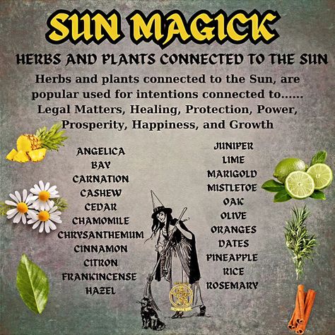 ## Sun-day Funday with Witchy Vibes! ✨ Calling all crystal crushers & cauldron connoisseurs! ‍♀️ Today's #SundayMagick tip is all about harnessing the sun's power to brighten your week. ☀️ Let me know in the comments what your favorite solar spell is! #witchtok #summervibes #sunmagic #foryou #witchmemes #witchcraft #witchlife #witchtips #wordsofwisdom #themagickcabinet #witchwords #witchmemes Solar Witchcraft, Fae Witchcraft, Sun Magick, Herb Spells, Solar Magic, Sun Witch, Plants For Health, Money Candle Spell, Magick Herbs