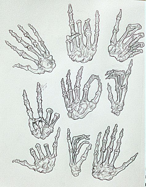 Skeleton Hand Poses Reference, Skeleton Hand Poses Drawing, Skeletal Hand Drawing, Skeleton Hand Drawing Reference, Skeleton Hand Reference, Skeleton Hand Poses, Skeleton Hand Holding Something, Skeleton Mandala, Simple Skeleton Drawing