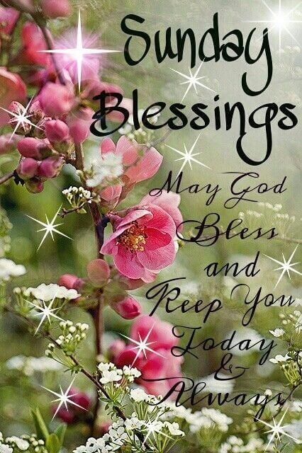 Sunday Blessings Quotes Pictures Facebook by @quotesgram Blessed Sunday Quotes, Blessed Sunday Morning, Sunday Morning Quotes, Sunday Quotes Funny, Sunday Pictures, Sunday Greetings, Good Sunday Morning, Have A Blessed Sunday, Sunday Blessings