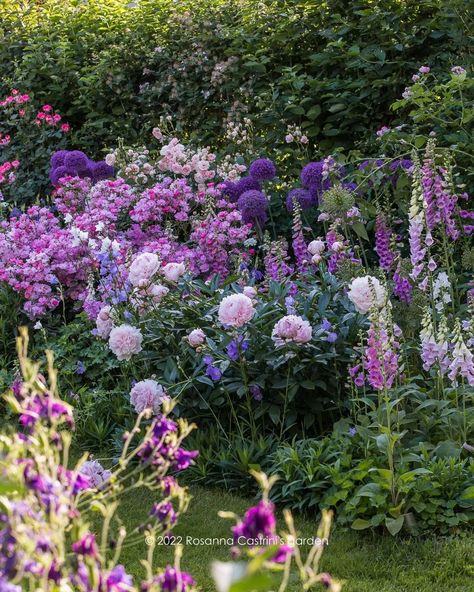 Rose Lavender Garden, Garden Design Borders, European Flower Garden, Pink And Purple Flower Garden, Spring Cottage Garden, Peony In Garden, Cottage Garden Color Palette, Mixed Borders Gardens, Peony Hedge