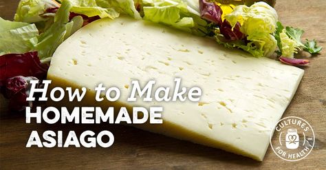 How To Make Asiago Cheese Cheese Recipes Homemade, Cheddar Cheese Recipes, Cheese Making Recipes, Goat Milk Recipes, Diy Cheese, Asiago Cheese, Cheese Curds, Kitchen Spices, Homemade Cheese