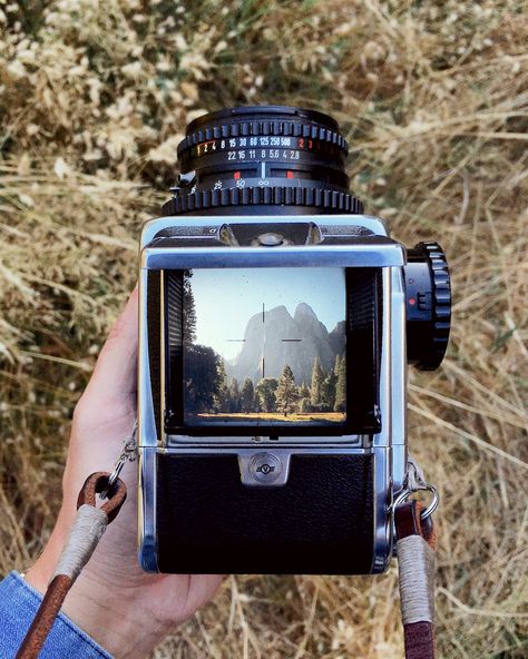 Hasselblad 500cm, Film Camera Photography, Photo Gear, Film Roll, Retro Items, Old Cameras, Classic Camera, Vintage Classics, Yosemite Valley