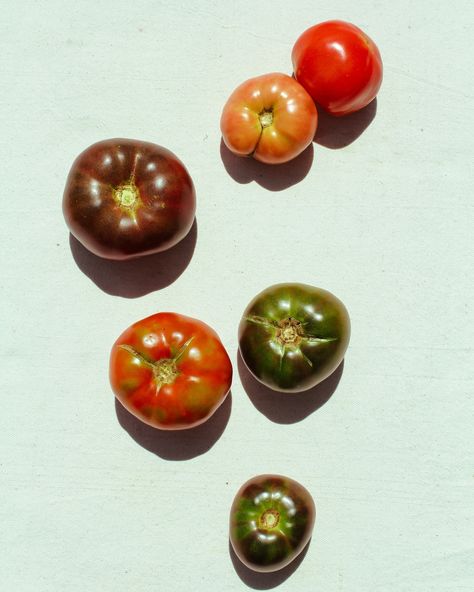 Heirloom Tomato season >>>>> Consider this your reminder to support your local farmers this Summer (all the time, actually) 🍅 ❤🍅❤️🍅❤️🍅️ Photography + Creative Direction: Bleubird Creative Heirloom Tomato Photography, Tomatoes Photography, Tomato Photography, Tomato Flower, Life Reference, Tomato Season, Heirloom Tomato, Yummy Comfort Food, Photography Creative