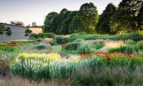 Piet Oudolf’s perennial meadow at Hauser & Wirth gallery in Somerset. Naturalistic Garden, Piet Oudolf, Prairie Garden, Wild Garden, Garden Photography, Landscape Ideas, Country Gardening, Small Gardens, Flower Show