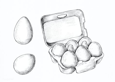 Hand drawn a box of raw eggs illustration | premium image by rawpixel.com / marinemynt Egg Drawing Art, Simple Cartoon Characters, Hand Drawn Fox, Draw A Box, Pineapple Vector, Pizza Vector, Cocktails Vector, Raw Eggs, Egg Vector