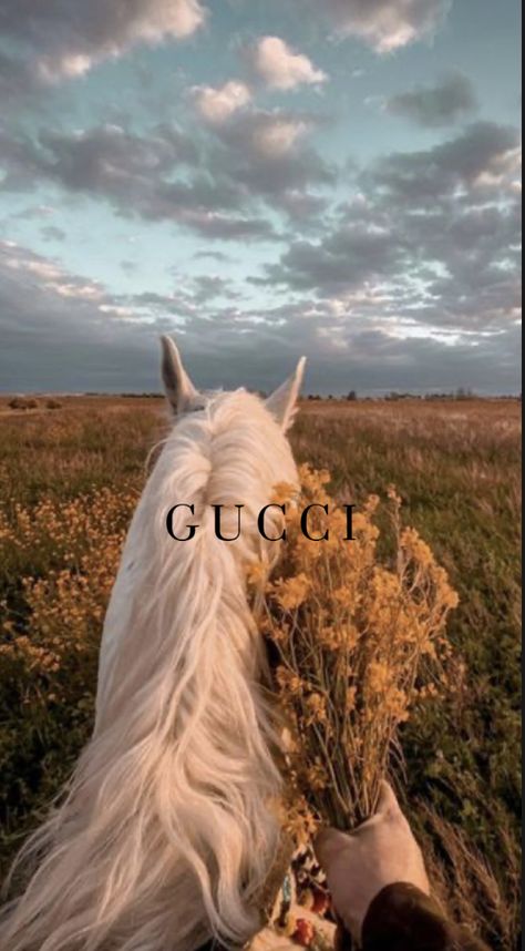 Pictures With Horses, Horse Lessons, Equestrian Aesthetic, Equestrian Chic, Horse Posters, Horse Wallpaper, Horse Aesthetic, Dressage Horses, Cute Horses