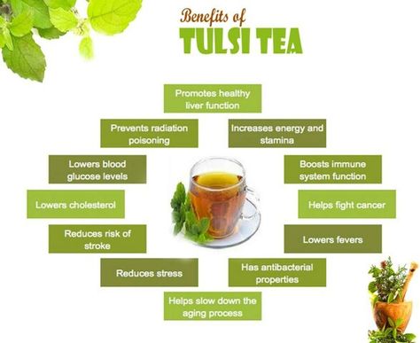 Tulsi tea Tulsi Tea Benefits, Holy Basil Benefits, Holy Basil Tea, Basil Tea, Tulsi Tea, Herbal Tea Benefits, Tea Health Benefits, Green Tea Benefits, Holy Basil