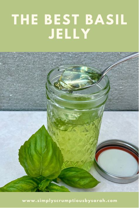 Margarita Jelly Recipe, Basil Uses, Sage Jelly, Key Lime Jelly, Rosemary Jelly, Sunflower Jelly Recipe, Clover Jelly, Basil Jelly, Preserve Fresh Basil