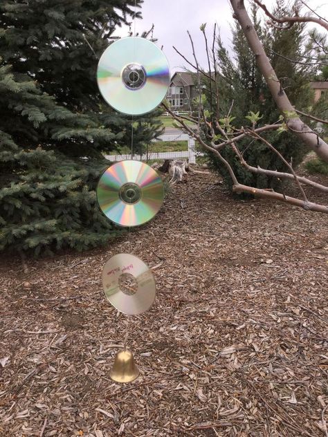 Last year I was so disappointed - we had limited blooms on our apple tree because of a late winter storm.  My tree produced a small amount of apples and of cour… Repurposed Cds, Candle Headboard, Cd Idea, Spinners Diy, Bird Deterrents, So Disappointed, Old Cds, Cd Crafts, Texture Paint