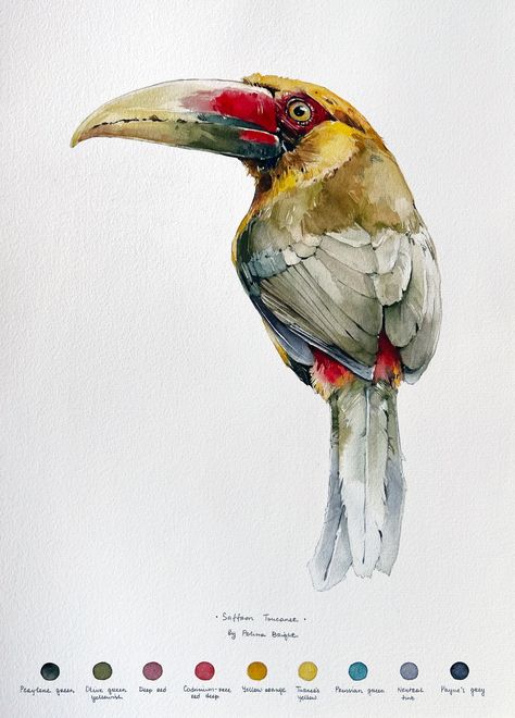 Bird Watercolor Paintings Watercolour, Queen Of Sweden Rose, Moluccan Cockatoo, Card Postal, Delphinium Flower, Polina Bright, Caracal Cat, Queen Of Sweden, Watercolor Fine Art