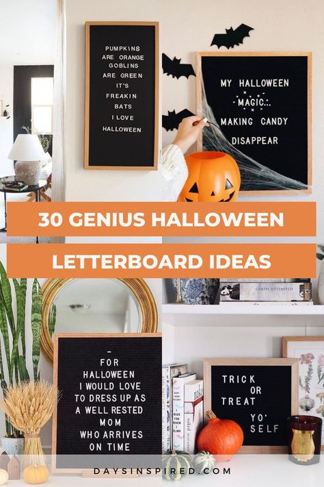 Spooky Season Letter Board, Halloween Letterboard, Funny Fall Quotes, Diy Letter Board, Spooky Letters, Letterboard Ideas, Letterboard Signs, Halloween Phrases, Message Board Quotes